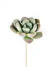 Succulent Pick - Add in Floral Arrangement