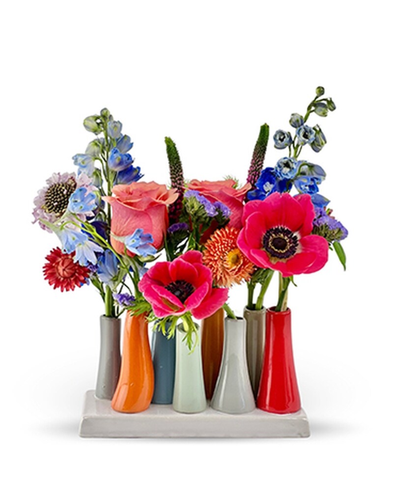 color pop bud vases