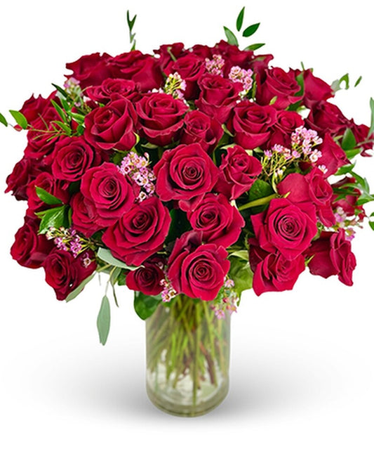 Luxury Red Roses